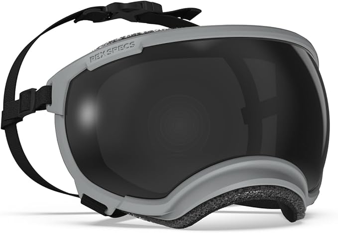 Rex Specs V2 Dog Goggles (Gallatin Grey, X-Large)