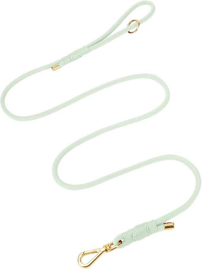 Durable Handwoven Dog Leash for Small & Medium Dogs, 5/16 inch Rope Lead with Anti-Tangle Swivel Clip, Soft & Lightweight, 5FT Long – Ideal for Daily Walking & Training (Light Green)