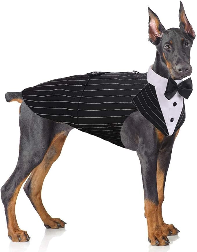 PUMYPOREITY Dog Tuxedo and Bandana Set, Formal Gentleman Dog Attire with Bowtie for Wedding, Birthday, Christmas, 2 Pieces/Pack, XL, Stripe
