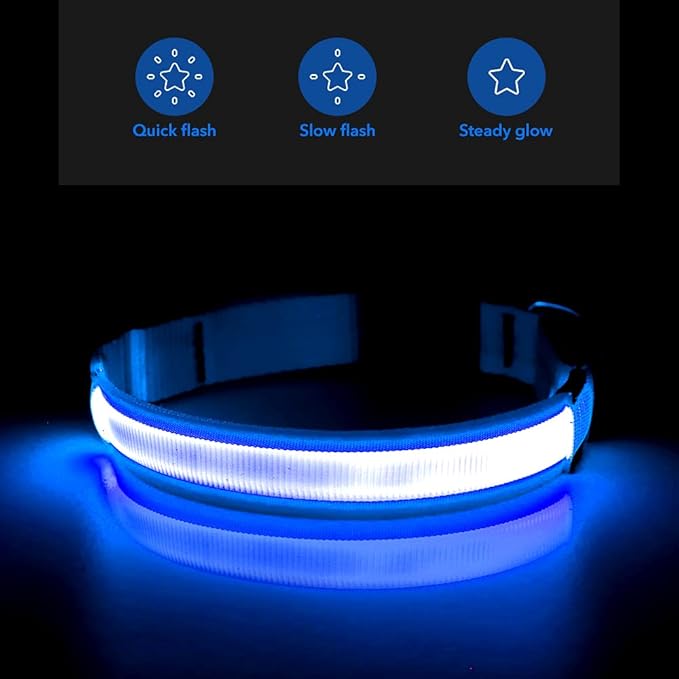 BSEEN Light Up Dog Collar - Reflective LED Light Puppy Collar Rechargeable Waterproof Glow in The Dark Dog Collars for Small Medium Large Dogs (Royal Blue, Medium)