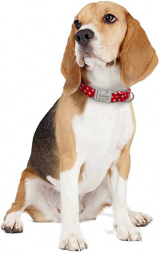 Personalized Dog Collar Dot Dogs Collars Nylon Pet Collars Engrave ID for Small Medium Large Pet Pitbull Red Blue Black