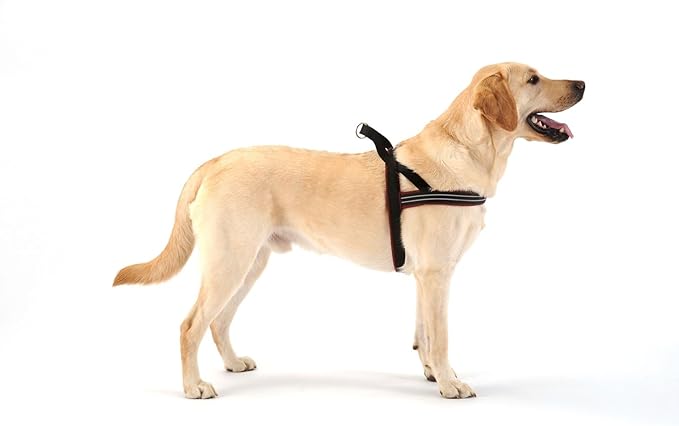 ComfortFlex Sport Dog Harness – No-Choke, Fully Padded, Non-Chafing Harness with Control Handle – Reflective, Lightweight, Adjustable for Active Dogs - Small/Medium, Red