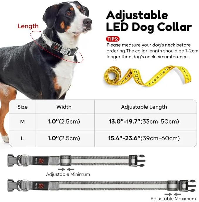 Light up Dog Collar - Multi-Color LED Dog Collar, USB-C Rechargable with Battery Indicator, Waterproof and Adjustable Rainbow Collar for Dogs(Medium)