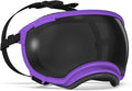 Rex Specs V2 Dog Goggles (Small, Pike Purple)