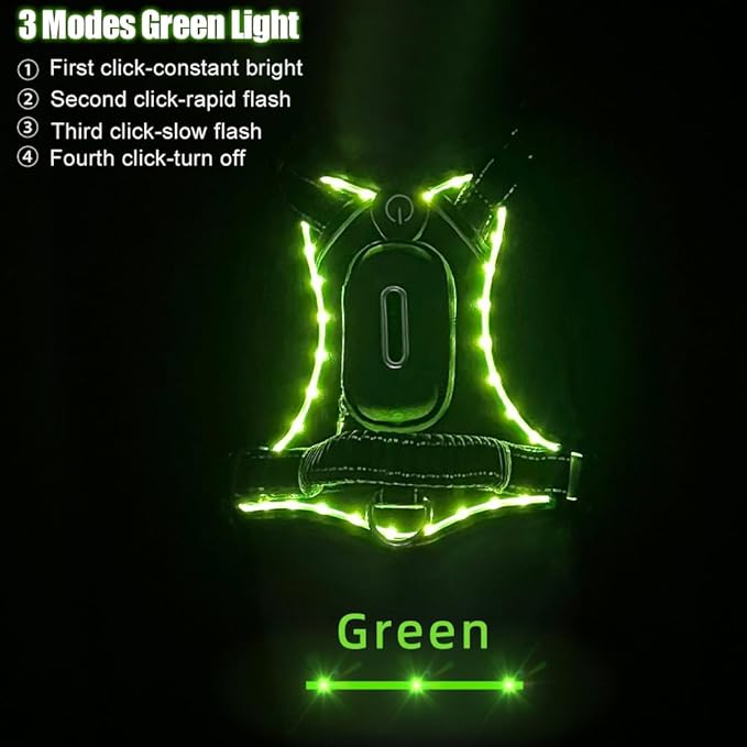 Luwint Light Up Dog Harness, LED Illuminated Harness for Medium Large Dogs Glow in The Dark for Night Walking (USB Rechargeable, Adjustable, Lightweight) (Green)