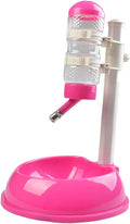 Pet Water Dispenser Automatic Food Feeder Pet Waterer Pp PVC Detachable Bowl Easy Cleaning