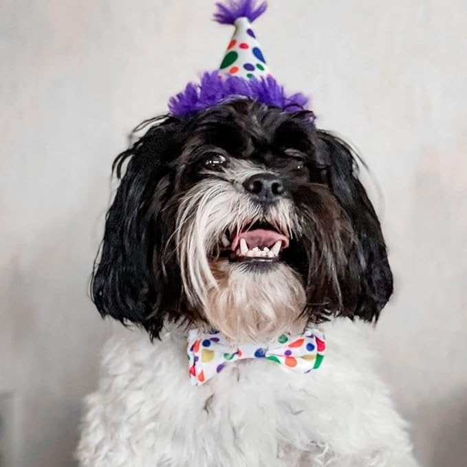 Huxley & Kent Pet Party Hat | Happy Barkday (Small) | Birthday Hat for Dogs and Cats | Adjustable Strap for Comfort and Stability | Perfect for Birthday Party, Adoption Celebration or Gotcha Day