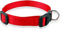 Nylon Dog Collar Small Dog Collars Cheap Pet Collar for Small Medium Dog Cat Pet Blue/red/Purple/Black 4 Size Red M