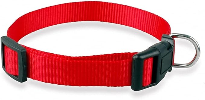 Nylon Dog Collar Small Dog Collars Cheap Pet Collar for Small Medium Dog Cat Pet Blue/red/Purple/Black 4 Size Red L