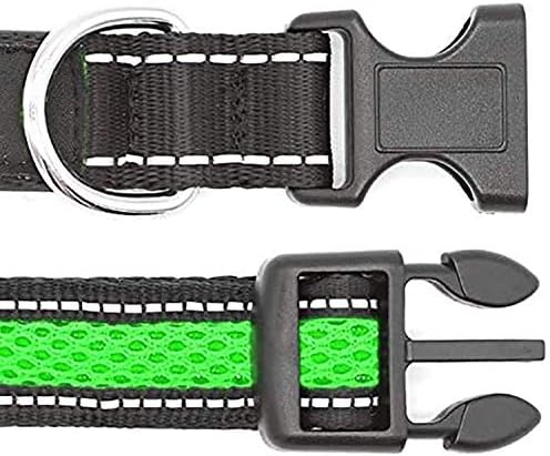 LED Dog Collar - USB Rechargeable Pet Collar Glows Brightly with Night Safety LEDs, Lights Up with Nylon Tape and Reflective, Perfect for Small Medium Large Dogs (M (Medium [43.5-50cm]), Green)