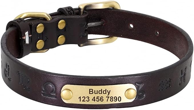 Custom Leather Dog Collar Personalized Dog Collars Leather Gold Buckle German Shepherd Pet ID Collar for Small Medium Large Dogs Dark Brown XS