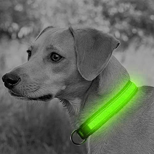 LED Dog Collar - USB Rechargeable Pet Collar Glows Brightly with Night Safety LEDs, Lights Up with Nylon Tape and Reflective, Perfect for Small Medium Large Dogs (M (Medium [43.5-50cm]), Green)