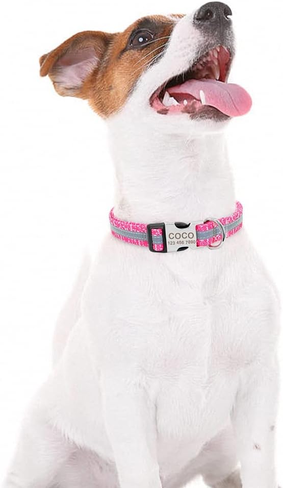 Personalized Pet Dog Collar Reflective Custom Puppy Collars Pitbull Large Dog Collar for Small Pets Chihuahua German Shepherd Pink M
