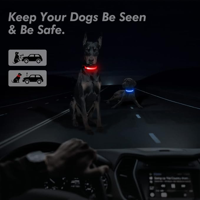 BSEEN Light Up Dog Collar - Rechargeable LED Dog Collar - Water-Resistant Reflective Puppy Collars- Glow in The Dark Christmas Dog Lights for Night Walking (Ruby Red, Medium)