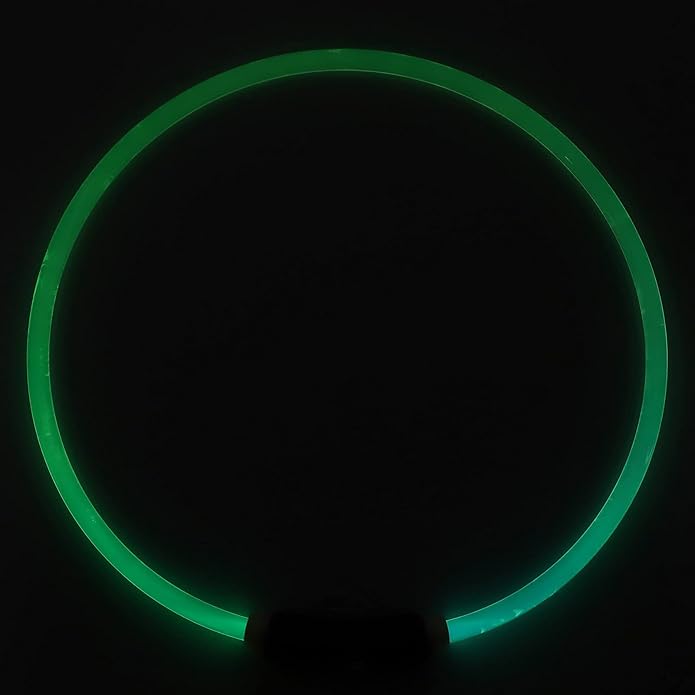 VINGVO Light Up Dog Collar, Glow In The Dark Dog Collar Glowing Pet Collar for Medium Small Dogs Dog Light Up Collar USB Rechargeable LED Collar for Night Walking Lighted Dog Collar