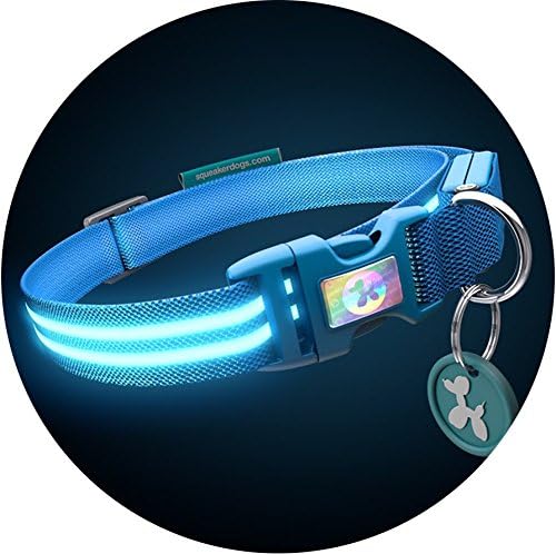 Squeaker LED Light up Dog Collar (Small 33-45cm (13-17"), Electric Blue)