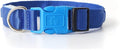 LED Dog Collar - USB Rechargeable for Night Safety(Neon Blue Color,Small Size)