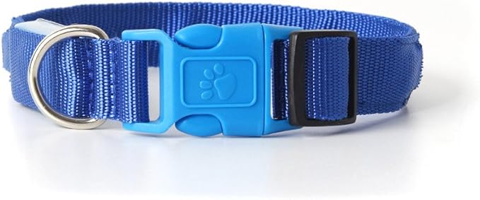 LED Dog Collar - USB Rechargeable for Night Safety(Neon Blue Color,Small Size)