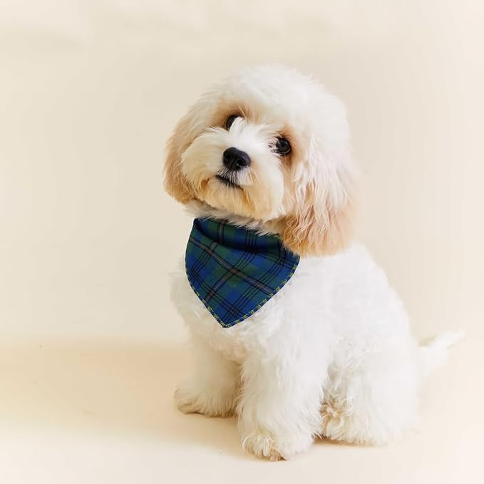 Double Layers Two Tones Dog Cotton Square Bandana Bibs Scarf Kerchief for Small Medium Dogs Boy or Girl - DCB25 B&G