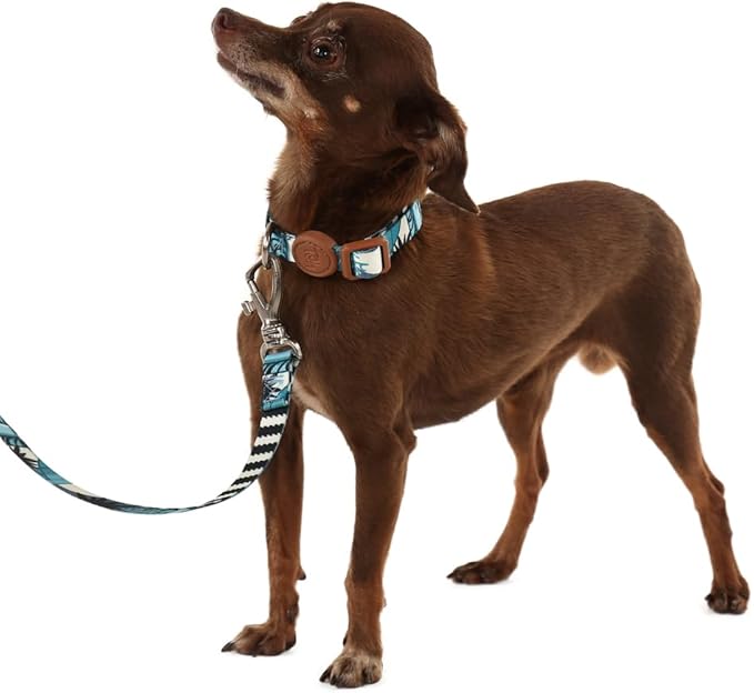 Adjustable Dog Collar with ID Tag – Soft Polyester, Quick Release Buckle – Durable, Waterproof, Cute Dog Collar – Puppy Collar, Stylish Pet Accessories (Noronha, Large)