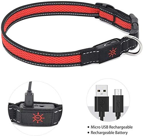 LED Dog Collar (L (53 60cm), Red) - USB Rechargeable Pet Collar Glows with Night Safety LEDs, Lights Up with Nylon Tape and Reflective - Perfect for Small, Medium and Large Dogs by The Small Moment