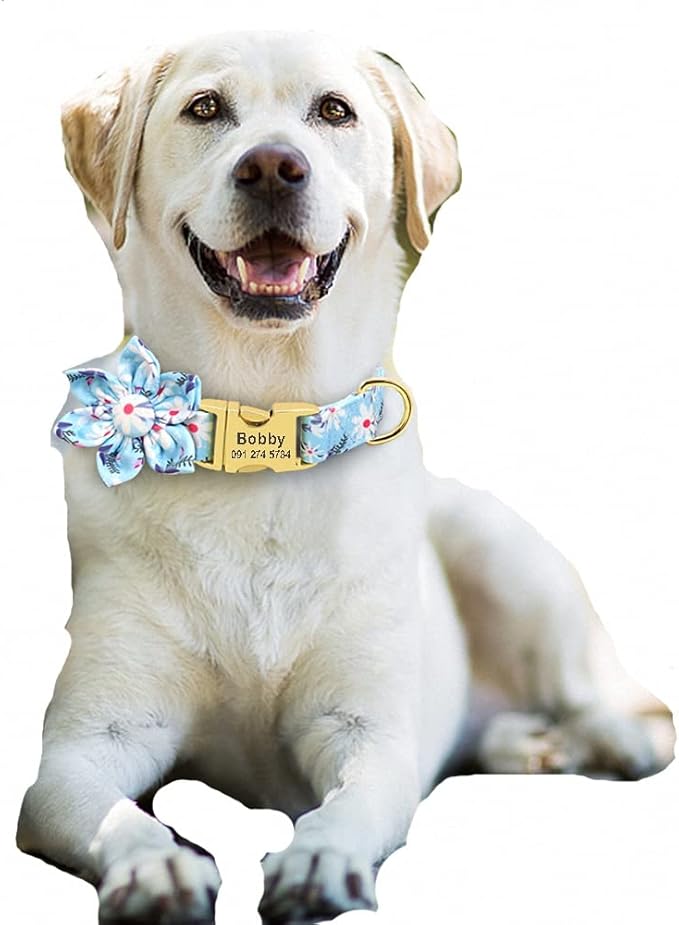 Custom Flower Dog Collar Nylon Floral Printed Pet Dog Collars Personalized Puppy Collar for Small Medium Large Dogs Cat Pitbull 153 Blue S