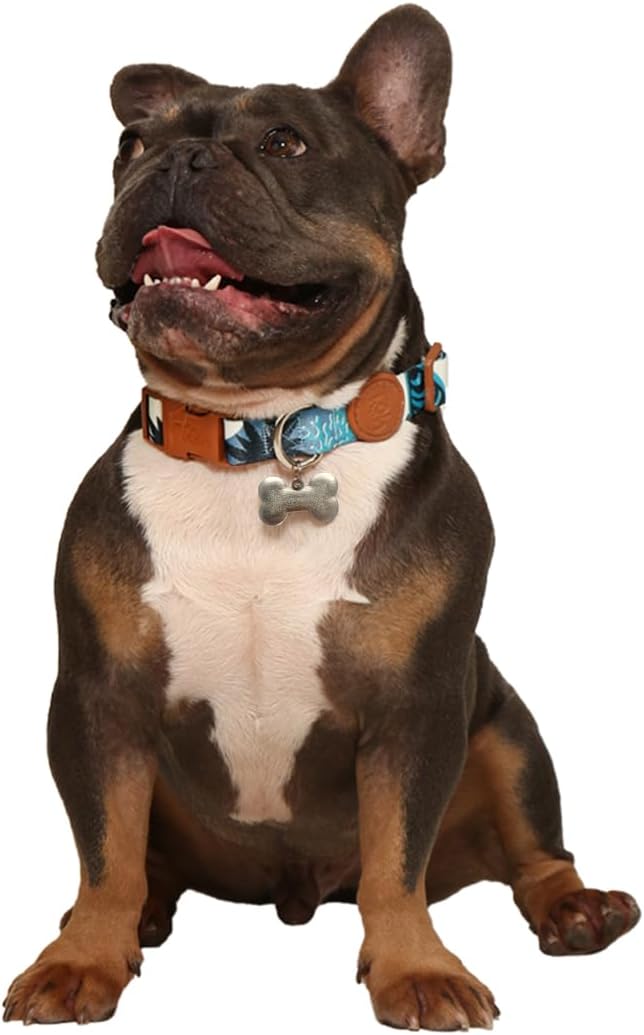 Adjustable Dog Collar with ID Tag – Soft Polyester, Quick Release Buckle – Durable, Waterproof, Cute Dog Collar – Puppy Collar, Stylish Pet Accessories (Noronha, Medium)