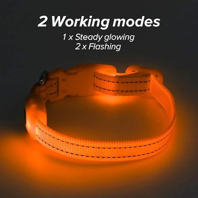BSEEN Light Up Dog Collar, Reflective LED Dog Collar Rechargeable Glowing Puppy Collar for Puppies & Cats，Safety Dog Lights for Night Walking (Orange)