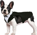 Kuoser Dog Tuxedo Dog Suit and Bandana Set, Dogs Tuxedo Wedding Party Suit, Doggy Prince Bow Tie Shirt Formal Pet Wedding Attire for Small Medium and Large Dogs Golden Retriever Samo Bulldogs
