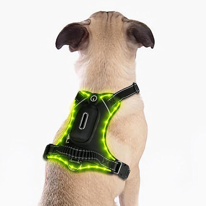 Luwint Light Up Dog Harness, LED Illuminated Harness for Medium Large Dogs Glow in The Dark for Night Walking (USB Rechargeable, Adjustable, Lightweight) (Green)