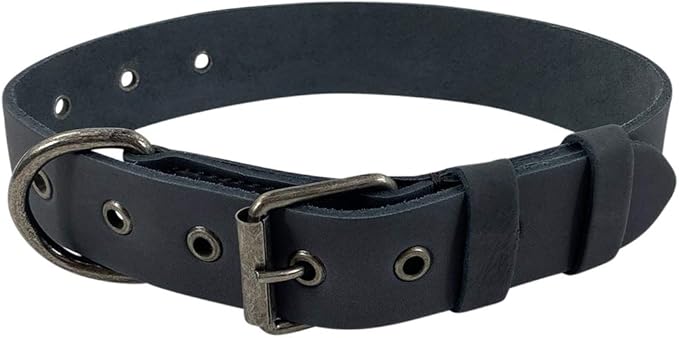 Taco Dog, Thick Leather Dog Collar Handmade from Full Grain Leather - Comfy Pet Collar for Medium Size Dog (12 to 21 Inches) Dog Lover Gift (Charcoal Black)