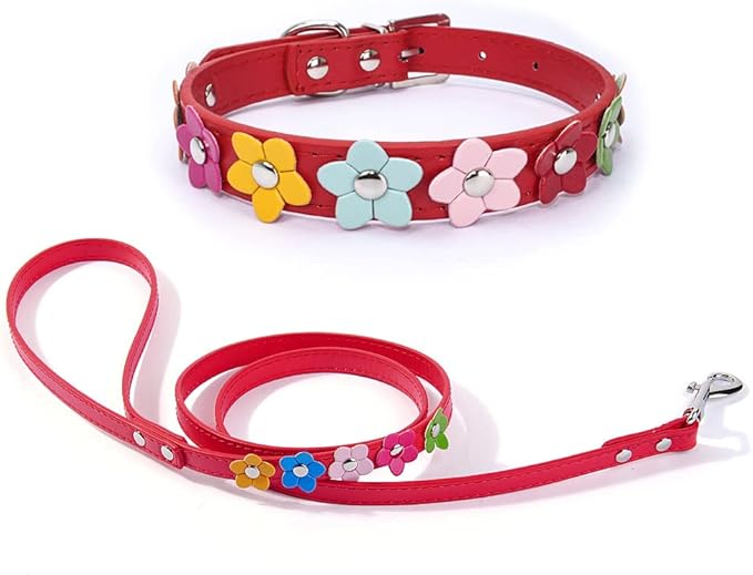 Puppy Dog Collar Colorful Flower Cute Girl Cat Collars with Leash Set XS Small Medium Large