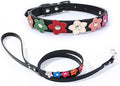 Puppy Dog Collar Colorful Flower Cute Girl Cat Collars with Leash Set XS Small Medium Large