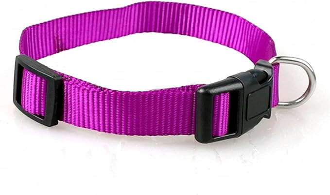 Nylon Dog Collar Small Dog Collars Cheap Pet Collar for Small Medium Dog Cat Pet Blue/red/Purple/Black 4 Size Purple L