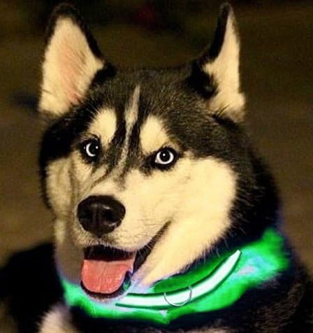 Green Light-Up LED Adjustable Pet Collar (Flashing or Steady Modes) - Rechargeable via USB Cable (Included) by Electronix Express (Large)