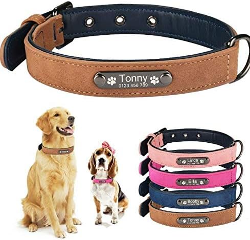 Personalized Dog Collars Customized Puppy Collars with Id Tags (Blue, XS)