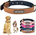 Personalized Dog Collars Customized Puppy Collars with Id Tags (Blue, L)