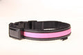 LED Dog Collar Light Rechargeable Color Changing, Glow in The Dark Dog Collars Waterproof Glowing Dog Collars for Large Small Medium Dogs (Medium, Pink)