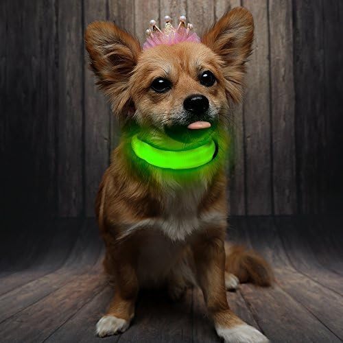Green Light-Up LED Adjustable Pet Collar (Flashing or Steady Modes) - Rechargeable via USB Cable (Included) by Electronix Express (Small)