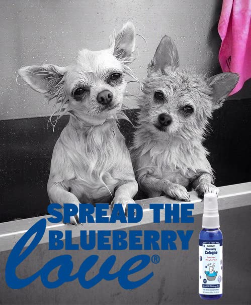 Showseason Animal Products South Bark's Original Blueberry Pet Cologne 2.5 oz. For Dogs | Long-Lasting Odor Eliminator, Made in USA, Same Scent As The Famous Blueberry Facial®