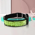 Led Dog Collar for App Programmable Text Flashing Light Up Cosplay Accessories- USB Rechargeable Hand and Leg Rings Cat Digital Pet Collar Weatherproof Fits for Small Medium Dog (Green LED)