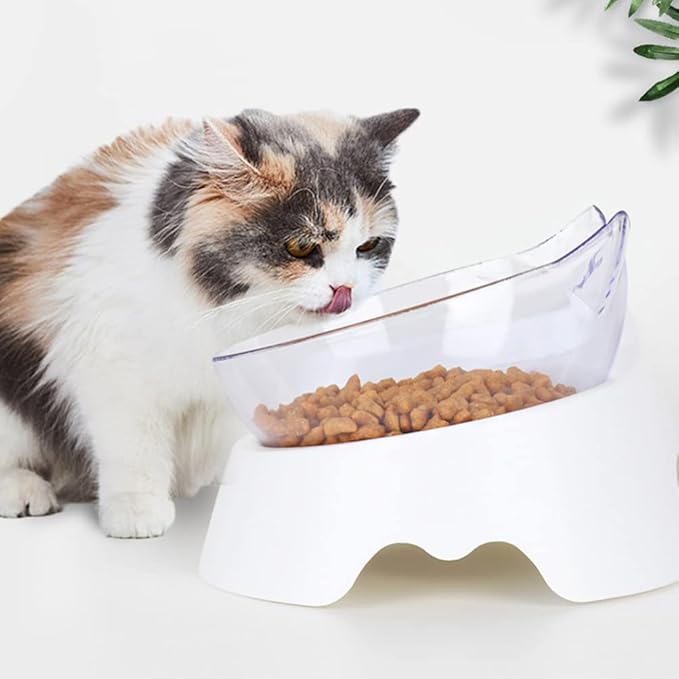Mipcase 1set Pet Food Feeder Dual-Bowl Design for Cats and Dogs Automatic Water Dispenser Tilted Food and Water Bowls Easy Suitable for Pets