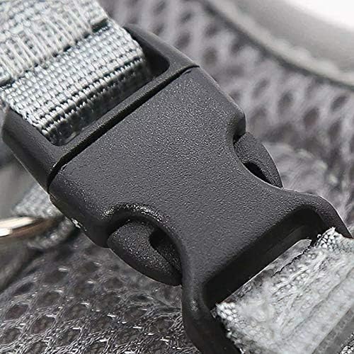 No pull dog camisole reflective small dog leash and collar for Schnauzer pet cat walking training supplies Chihuahua S blue