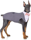 PUMYPOREITY Gentleman Dog Attire - Tuxedo and Bowtie Set for Large Dogs, Formal Wedding Attire, Grey, XL