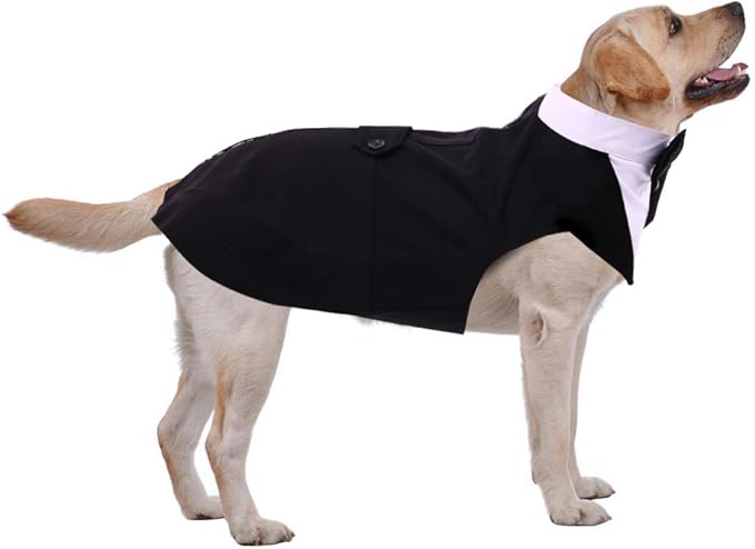 PUMYPOREITY Dog Tuxedo and Bandana Set, Formal Gentleman Dog Attire with Bowtie for Wedding, Birthday, Christmas, 2 Pieces/Pack, XL, Black