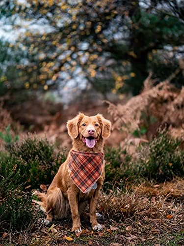 Lionheart glory Fall Dog Bandana 1 Pack Washable Soft Cotton Halloween Bibs Scarf, Adjustable Kerchief Square Dog Bandanas for Small Dogs