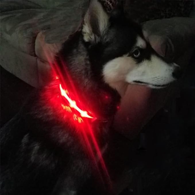 MASBRILL Led Dog Collar, Rechargeable Water-Resistant Lighted Flashing Glowing Night Safety Collar