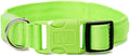 LED Dog Collar - USB Rechargeable for Night Safety(Neno Green Color,Large Size)