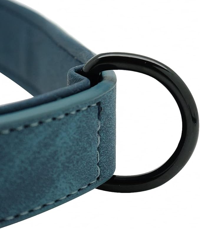 Personalized Dog Collar Custom Leather Dog Collars Inner Padded Pet ID Collar for Small Medium Large Dogs Pitbull Bulldog Blue M