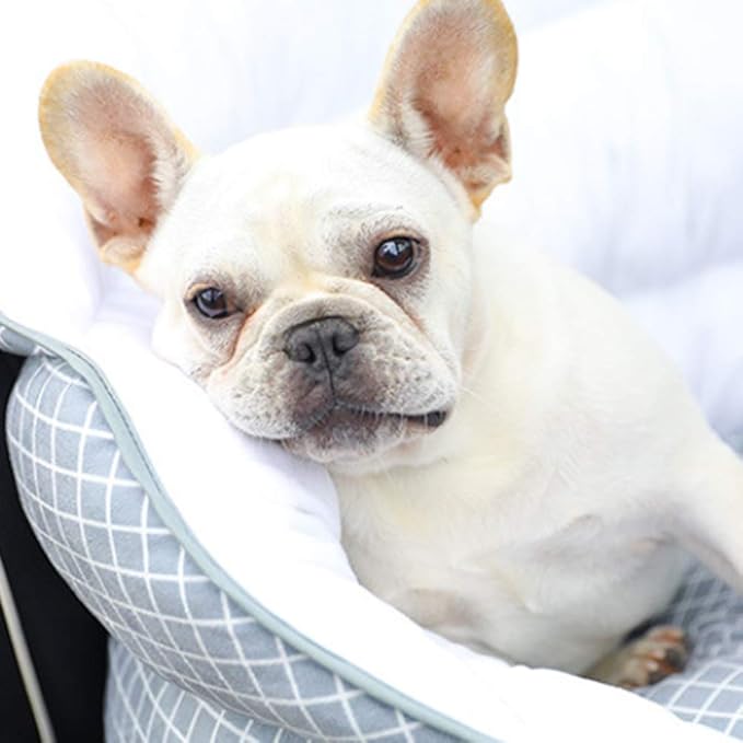 Dog Car Seat Pet Booster Seat Pet Travel Safety Car Seat Dog Bed for Car,Pet Car Booster Bucket Seat with Clip-On Safety Leash for Cars, Trucks and Suvs,F